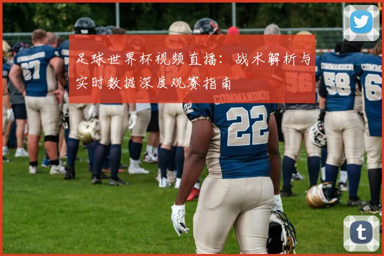 足球世界杯视频直播:战术解析与实时数据深度观赛指南