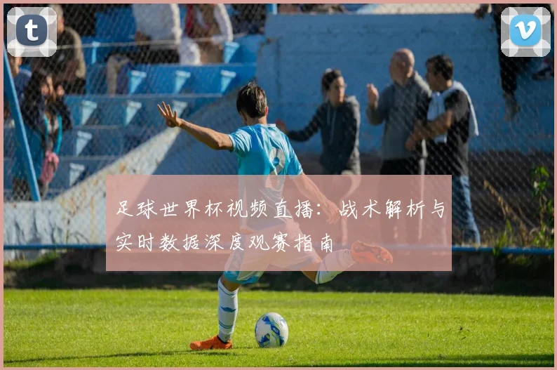 足球世界杯视频直播:战术解析与实时数据深度观赛指南