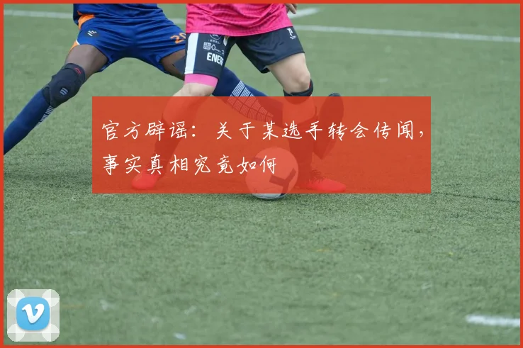 官方辟谣：关于某选手转会传闻，事实真相究竟如何